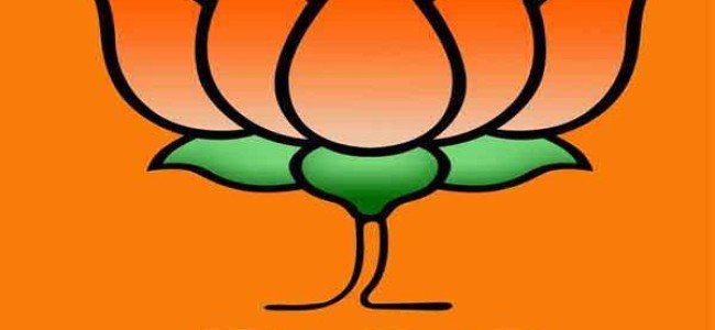 LAHDC polls: BJP wins 6 out of seven in Nubra Valley