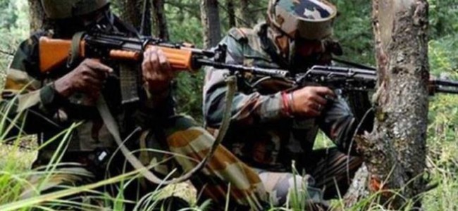 Gunfight breaks out in north Kashmir forests