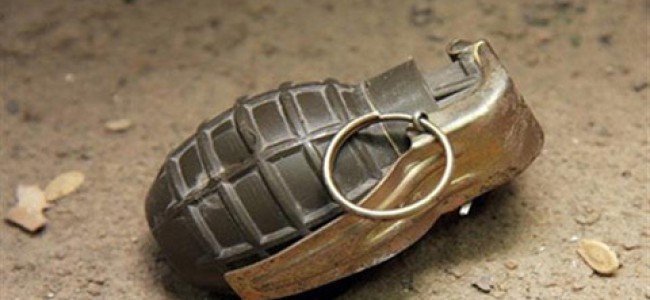 Saraf Kadal Grenade Blast: Policeman, Civilian Injured, Hospitalized