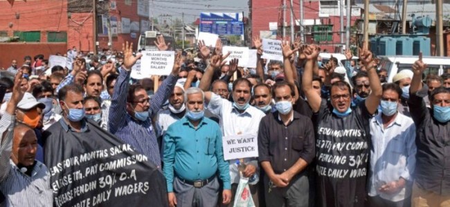Forest corporation employees staged a protest for fulfilment of their demands.