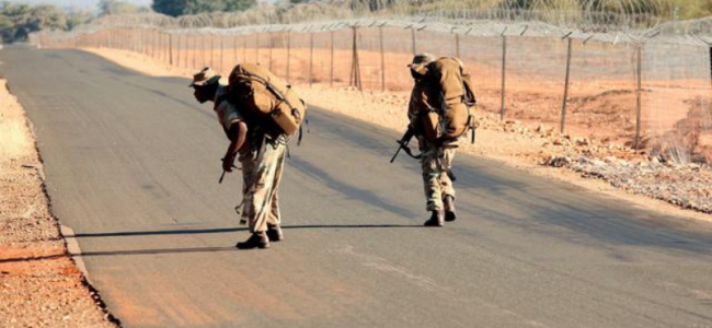 15 die in SA after virus screening delays at border with Zimbabwe