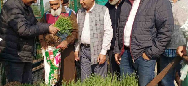 Dir. Agri. Kmr inaugurates sale of Vegetable seedlings at Kitchen Garden, Lal Mandi