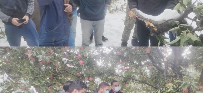 DC Shopian Visits Snow Affected Areas