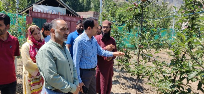 Director Horticulture tours Ganderbal; inspects departmental Orchards/ Nurseries