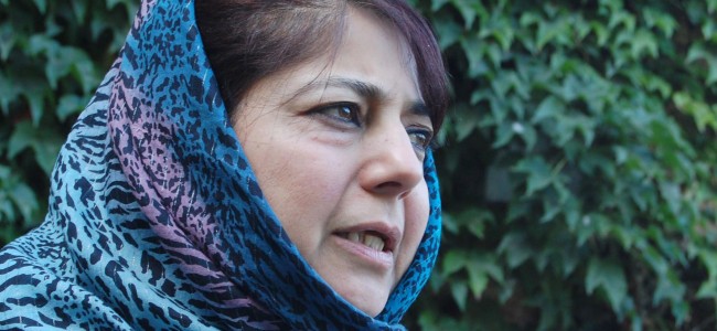 Police description of Mehbooba as ‘daddy’s girl’ not part of order containing grounds for detention under PSA