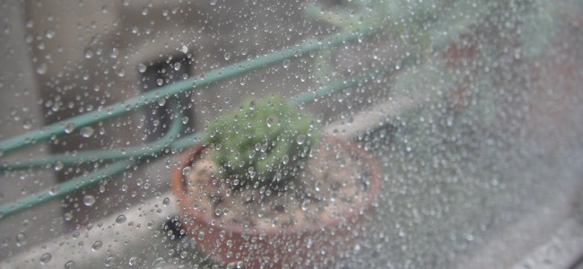 After rains, night temp falls below normal in most parts of Kashmir After rains, night temp falls below normal in most parts of Kashmir