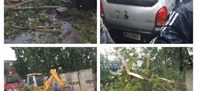 Hailstorm wreaks havoc in Pulwama villages Hailstorm wreaks havoc in Pulwama villages