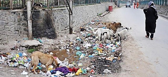 HC seeks report on garbage management in Srinagar HC seeks report on garbage management in Srinagar