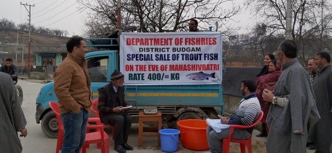 Trout fish on sale at Sheikhpura, Budgam Trout fish on sale at Sheikhpura, Budgam