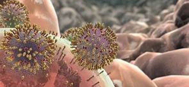 Kashmir witnessing unknown virus; children in grip of viral infection Kashmir witnessing unknown virus; children in grip of viral infection