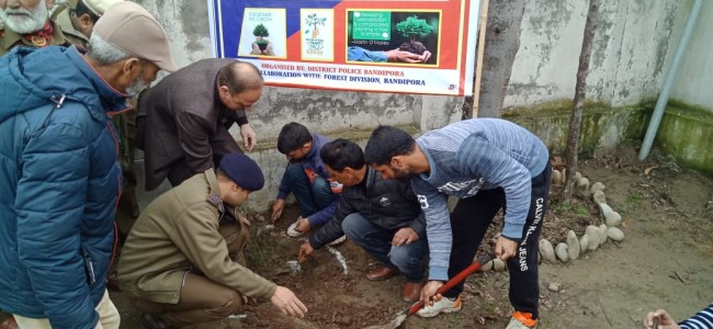 DLSA launches plantation drive across Bandipora DLSA launches plantation drive across Bandipora