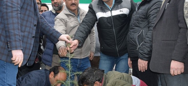 Forest Deptt. conducts plantation drive at Media Complex, Sgr Forest Deptt. conducts plantation drive at Media Complex, Sgr