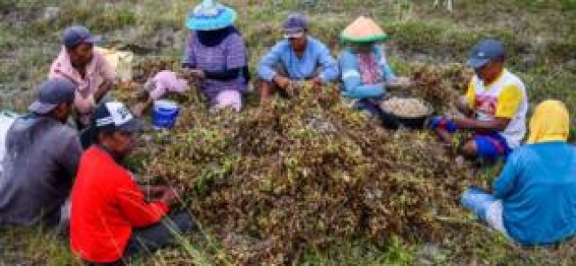 Virus could push half a billion people into poverty Virus could push half a billion people into poverty