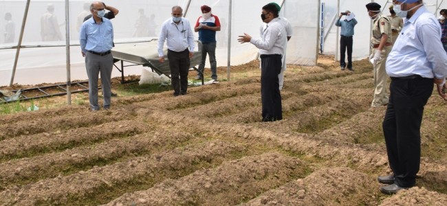Advisor Sharma visits Fruit Mandi Narwal, Marh Advisor Sharma visits Fruit Mandi Narwal, Marh