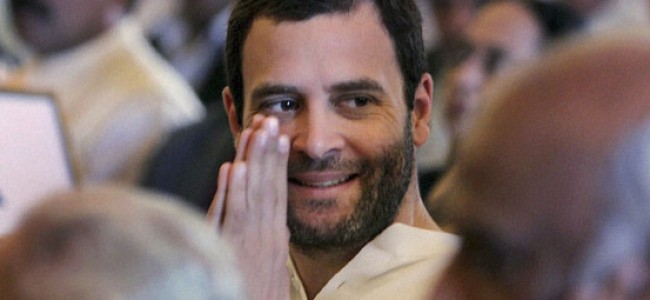 Is Rahul Gandhi Back In Command Of The Congress Amid Coronavirus Crisis? Is Rahul Gandhi Back In Command Of The Congress Amid Coronavirus Crisis?