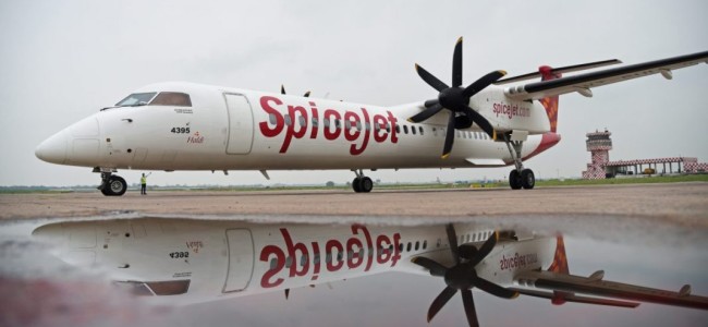 SpiceJet operates first cargo flight to bring back medical equipment from Singapore