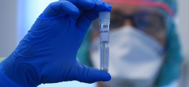 Coronavirus (Covid-19) vaccine latest update: Brazil approves Oxford vaccine trials; Moderna to start final phase in July Coronavirus (Covid-19) vaccine latest update: Brazil approves Oxford vaccine trials; Moderna to start final phase in July