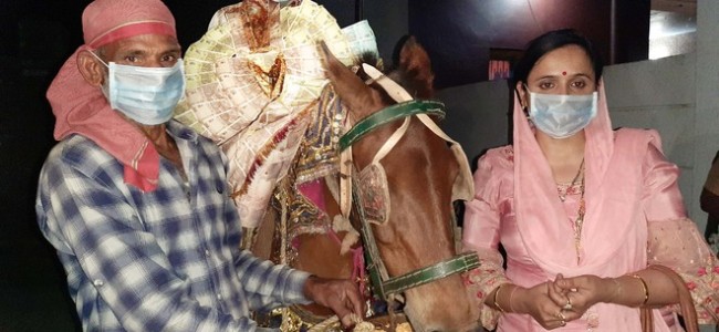 Stray cases put admn in fix Stray cases put admn in fix