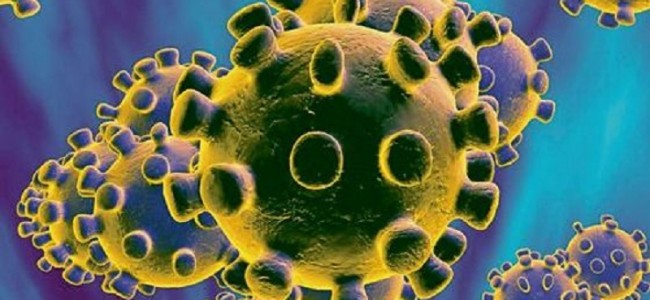 Mutant Coronavirus strain enters Kashmir as two test positive