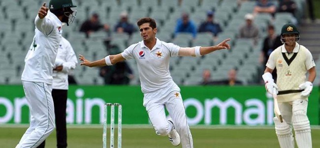Shaheen returns for SL Tests; Hurraira, Jamal handed maiden call-ups