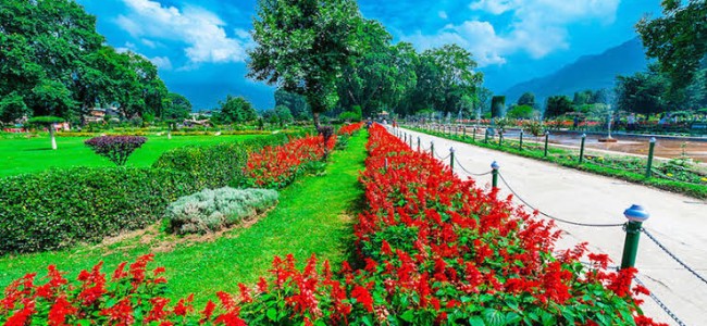 All parks, gardens to reopen in J-K from tomorrow: Advisor Khan All parks, gardens to reopen in J-K from tomorrow: Advisor Khan