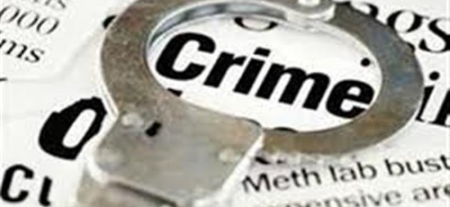 Crime branch files chargesheet against two persons