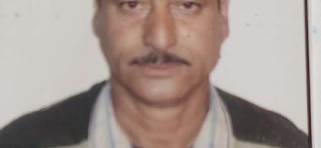 Waseem of JK Origins Beavered Waseem of JK Origins Beavered