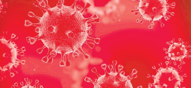 Bulletin on Novel Corona Virus (COVID-19) Bulletin on Novel Corona Virus (COVID-19)