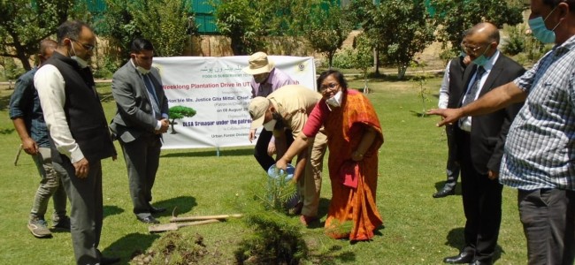 Chief Justice launches annual week long plantation drive by J&K SLSA Chief Justice launches annual week long plantation drive by J&K SLSA