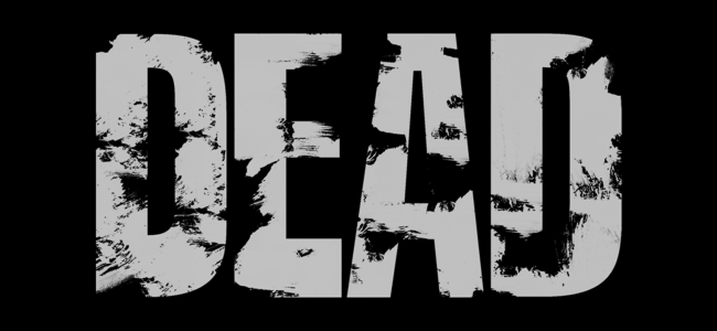 CRPF officer commits suicide in Badharwah CRPF officer commits suicide in Badharwah