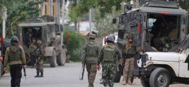 Shopian gunfight: Three militants killed, search operation continues Shopian gunfight: Three militants killed, search operation continues