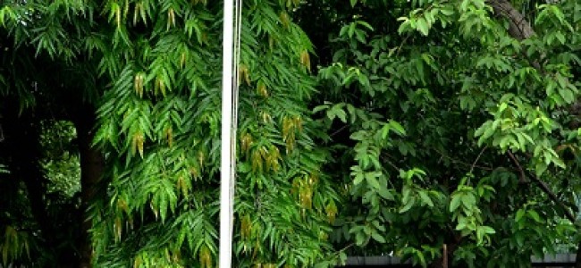 Additional Resident Commissioner unfurls Tricolor at JK House Additional Resident Commissioner unfurls Tricolor at JK House