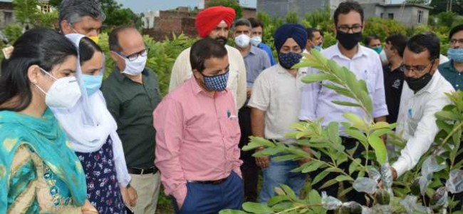 Director Horticulture reviews MIDH achievements in Jammu, Kathua, Samba Director Horticulture reviews MIDH achievements in Jammu, Kathua, Samba