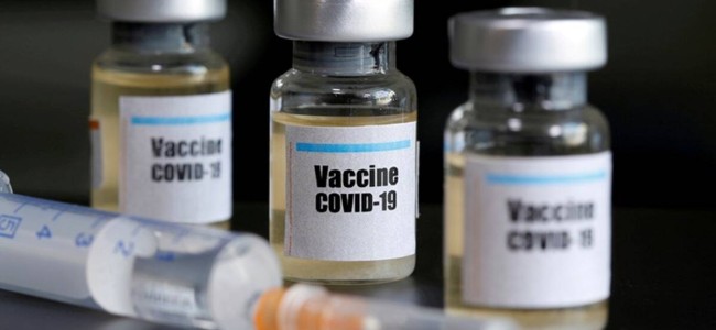 Govt: 3 vaccine candidates in human trial stage on track