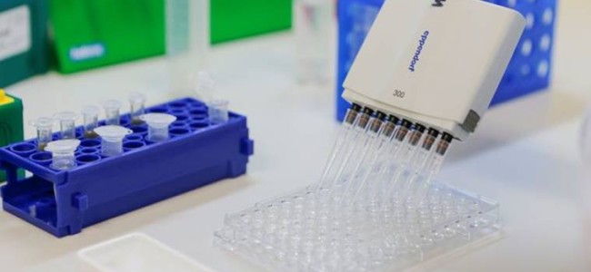 Covid-19 vaccine tracker, August 13: US has pre-ordered 800 million doses for its 330 million population Covid-19 vaccine tracker, August 13: US has pre-ordered 800 million doses for its 330 million population