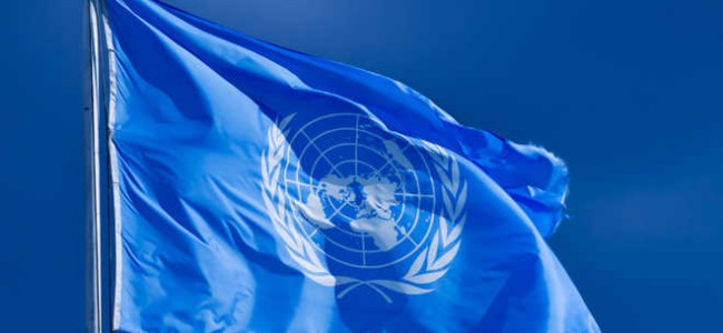 Indian economy to shrink by 5.9%: UN Indian economy to shrink by 5.9%: UN