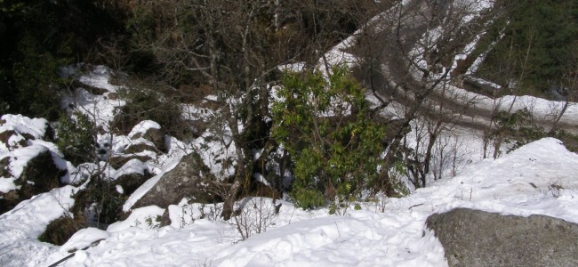 Fresh Snowfall in Higher reaches of Kashmir, Rains lash plains Fresh Snowfall in Higher reaches of Kashmir, Rains lash plains