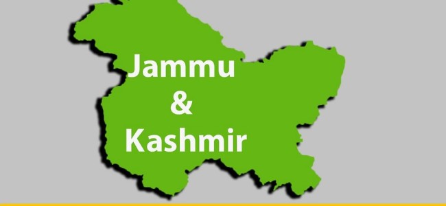 DDC Elections J&K- Leads / Win 272/280 DDC Elections J&K- Leads / Win 272/280