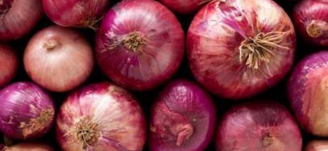 Palhallan Town of North Kashmir’s Baramulla is famous for Onion Seeds Palhallan Town of North Kashmir’s Baramulla is famous for Onion Seeds