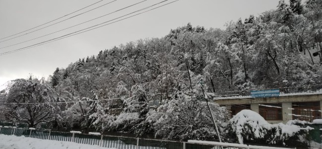 Light snowfall in Kashmir parts, temperature below sub-zero