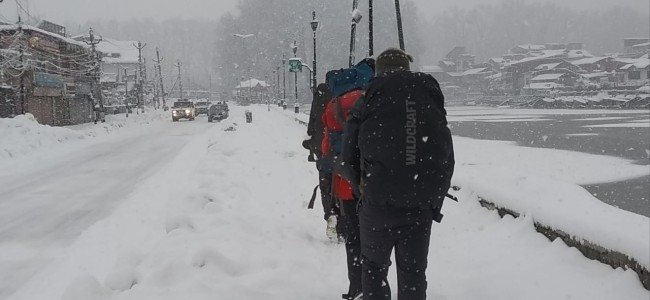 Fresh snowfall in Kashmir amid ‘dry weather forecast’ Fresh snowfall in Kashmir amid ‘dry weather forecast’