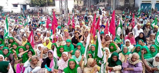 Farmers’ Stir: UN Criticises Centre For Police Action Against Journalists, Activists Farmers’ Stir: UN Criticises Centre For Police Action Against Journalists, Activists