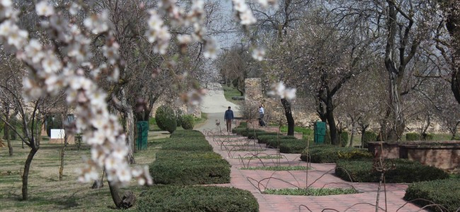 Badamveir is calling people to come and enjoy spring Badamveir is calling people to come and enjoy spring