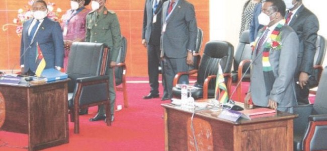 12 people, probably foreigners, beheaded in Mozambique 12 people, probably foreigners, beheaded in Mozambique