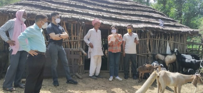 Director SHD inspects sheep rearing units in Akhnoor Director SHD inspects sheep rearing units in Akhnoor