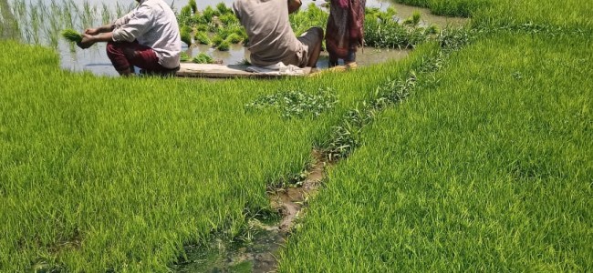 Health Care workers move farm-places to vaccinate people at Pulwama Health Care workers move farm-places to vaccinate people at Pulwama