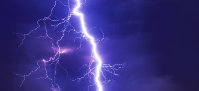Lightening kills over a dozen sheep in South Kashmir Forest area Lightening kills over a dozen sheep in South Kashmir Forest area