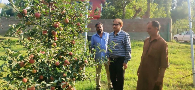 DG Horticulture conducts extensive tour of North Kashmir DG Horticulture conducts extensive tour of North Kashmir