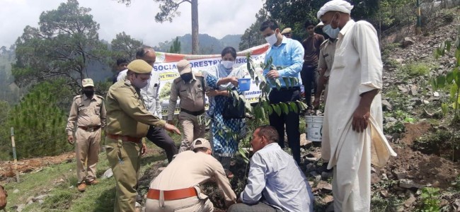 Social Forestry Ramban organises Plantation Drive Social Forestry Ramban organises Plantation Drive
