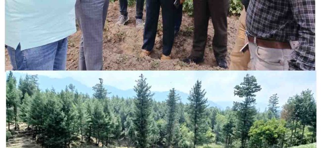 Union Additional Secretary visits Potato Seed Multiplication Farms Yarikha, Gulmarg Union Additional Secretary visits Potato Seed Multiplication Farms Yarikha, Gulmarg